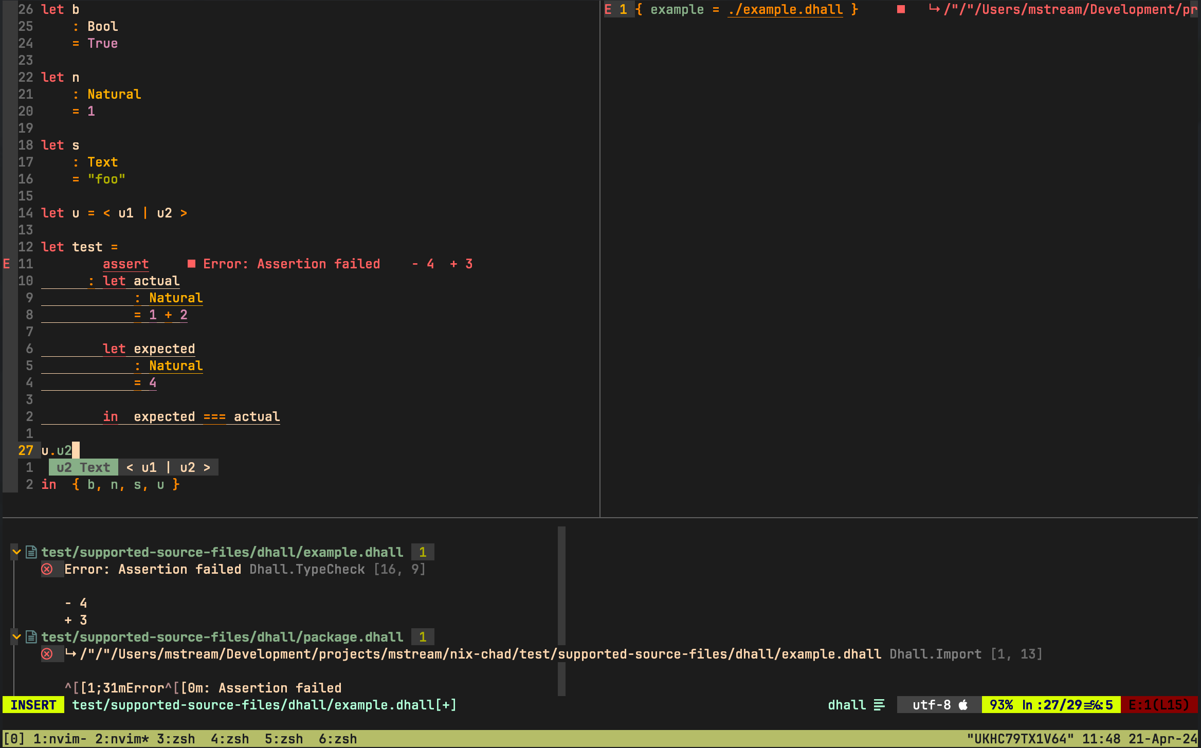 nvim dhall example screenshot